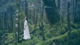 Wakana「時には昔の話を」ティザー映像より。