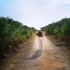 青葉市子、新作「アダンの風」発売記念トークイベント開催