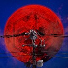 女王蜂2年ぶりCDシングル「夜天」リリース、付属Blu-rayには“蜂の日”ライブ収録