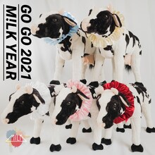 M!LK「GO GO 2021 M!LK YEAR」配信ジャケット