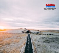 AKIRA WILSON「風に吹かれて」配信ジャケット