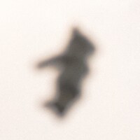 warbear「バブルガム」配信ジャケット