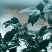 ユカリサ「この街」配信ジャケット