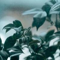 ユカリサ「この街」配信ジャケット