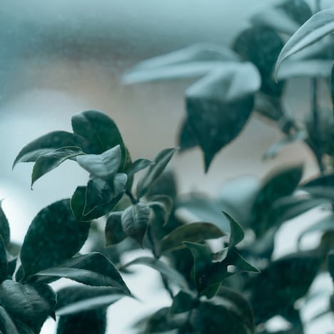 ユカリサ「この街」配信ジャケット