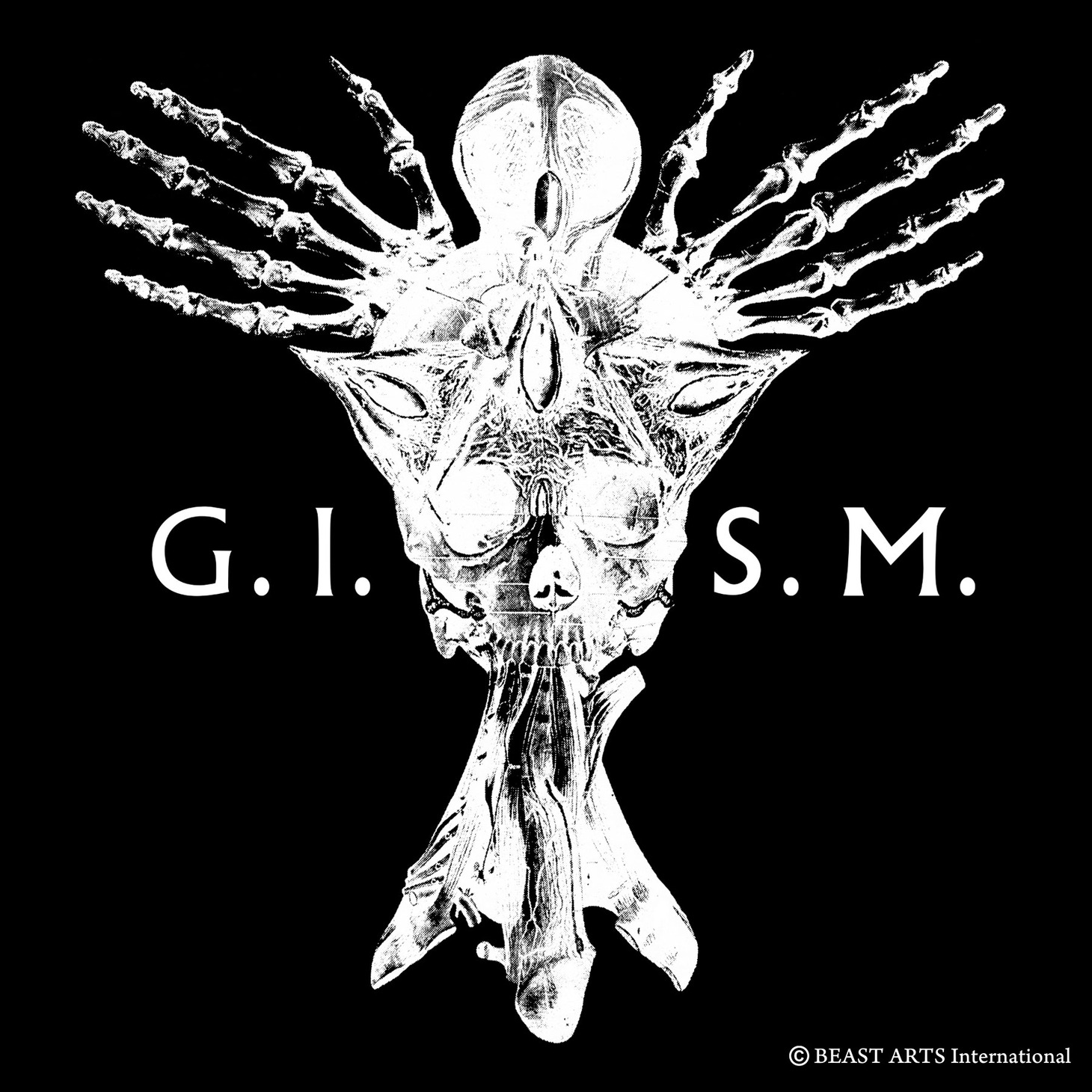 G.I.S.M.