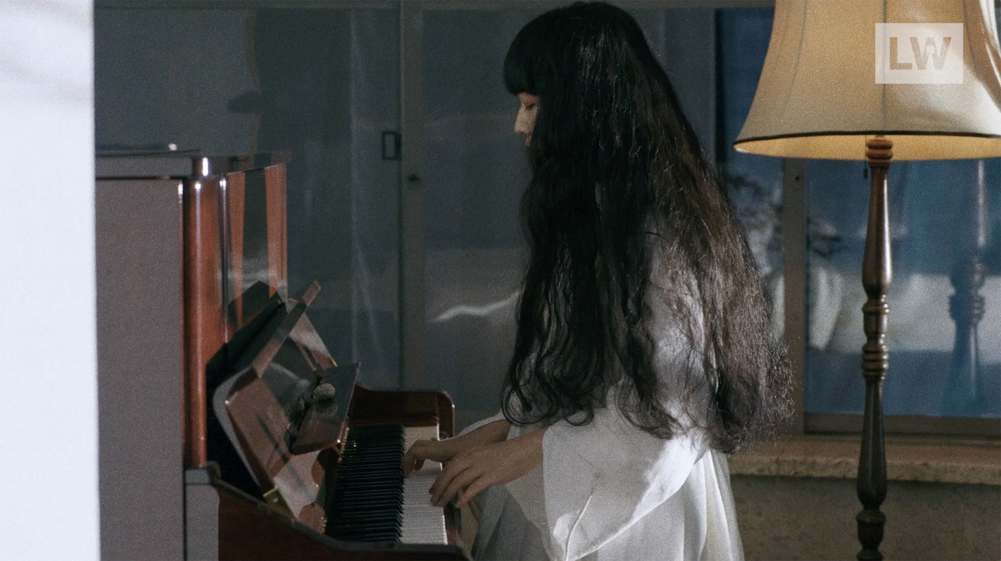 「Hara X Ichiko Aoba quiet solo concert "Windswept Adan"」より。