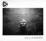 Discharming man「POLE & AURORA」ジャケット