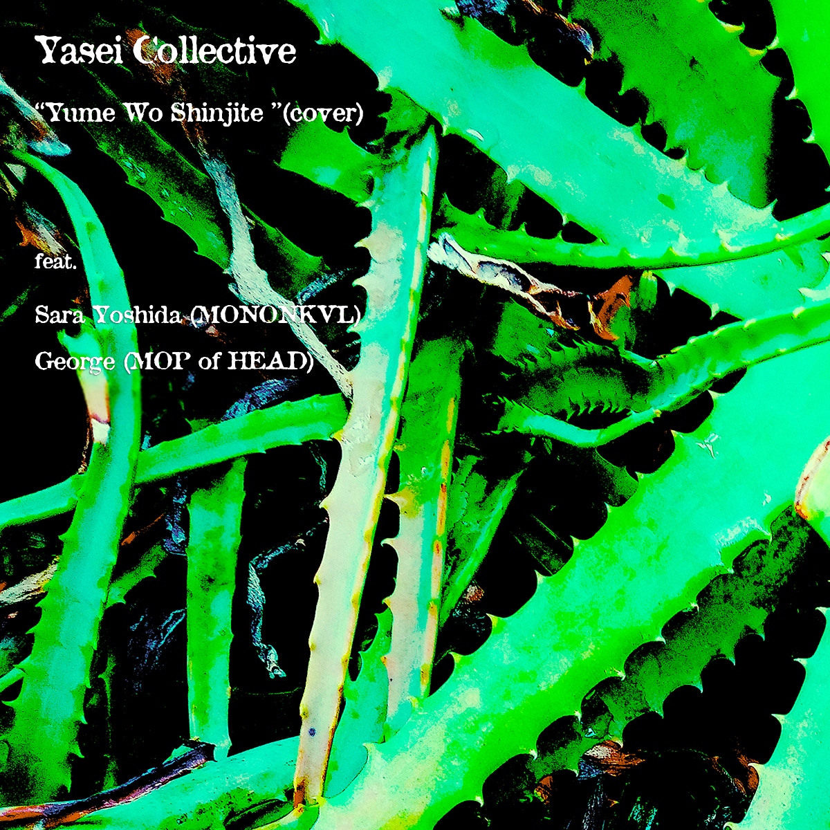 Yasei Collective｢夢を信じて｣配信ジャケット