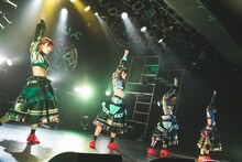 WILL-O'によるライブの様子。（写真提供：パーフェクトミュージック）