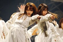 櫻坂46（撮影：上山陽介）