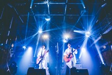 さくらしめじ（撮影：鈴木友莉）