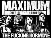 ホルモンがアニメ「終末のワルキューレ」主題歌を担当するってことは……亮君「つまりそういう事」