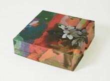 Cocco「クチナシ」初回限定盤Aジャケット