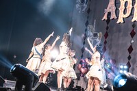 Appare!「Appare! Parade」最終公演の様子。