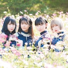 1月で現体制終了のWILL-O'、新曲2曲&再録ベストを同時配信