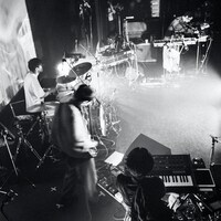 D.A.N.「LIVE ARCHIVE : STRAND」配信ジャケット