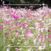 WILL-O'「Face Myself」配信ジャケット
