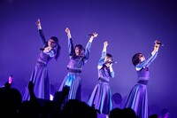 PARADISES（Photo by sotobayashi kenta）