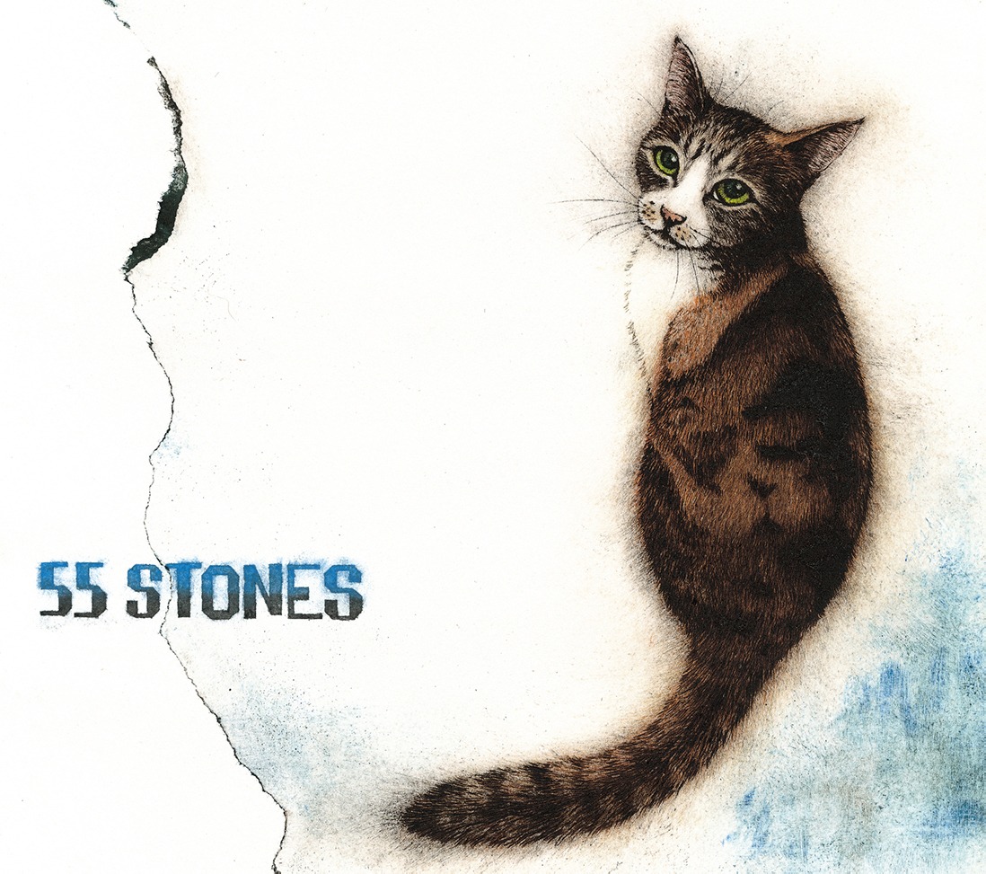 斉藤和義「55 STONES」初回限定盤ジャケット