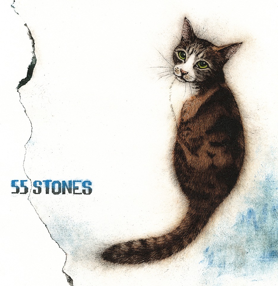 斉藤和義「55 STONES」アナログ盤ジャケット