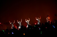 GO TO THE BEDS（Photo by sotobayashi kenta）