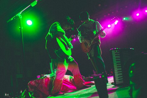 さくらしめじ（撮影：鈴木友莉）