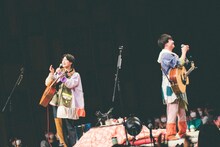 さくらしめじ（撮影：鈴木友莉）