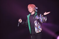 うらたぬき（撮影：小松陽祐［ODD JOB］、
岡本麻衣）