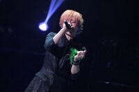 うらたぬき（撮影：小松陽祐［ODD JOB］、
岡本麻衣）