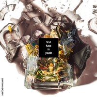 崎山蒼志「find fuse in youth」LIMITED EDITIONジャケット