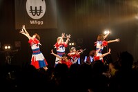WAgg（Photo by sotobayashi kenta）