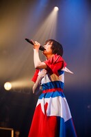 月ノウサギ（Photo by sotobayashi kenta）