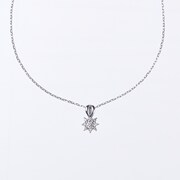 「SILVER SNOW」商品画像