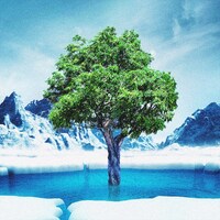 神はサイコロを振らない「未来永劫」ジャケット