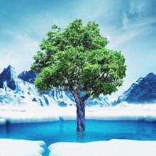 神はサイコロを振らない「未来永劫」ジャケット