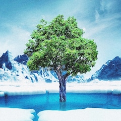 神はサイコロを振らないメジャーデビュー後初のcdリリース 初回盤dvdに 理 Kotowari 映像 コメントあり 音楽ナタリー