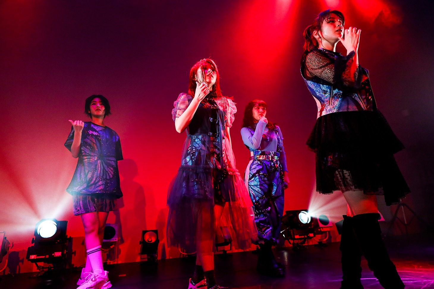 「アメフラっシ大感謝祭2020」より「がっつりライブ2020」の様子。