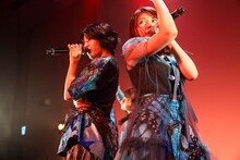 「アメフラっシ大感謝祭2020」より「がっつりライブ2020」の様子。