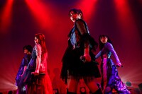 「アメフラっシ大感謝祭2020」より「がっつりライブ2020」の様子。