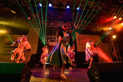 豆柴の大群（Photo by TERUMI FUKANO）