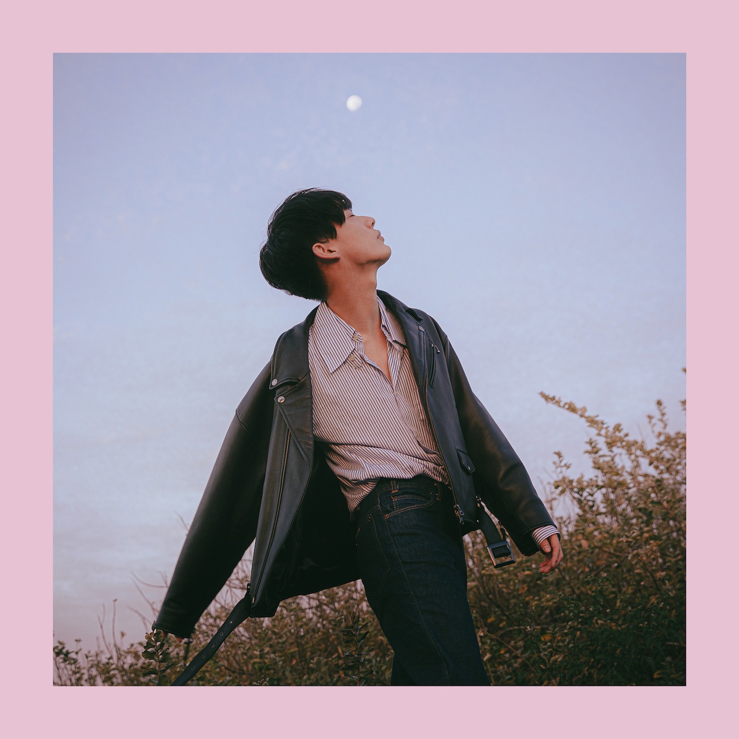 向井太一「Love Is Life」ジャケット