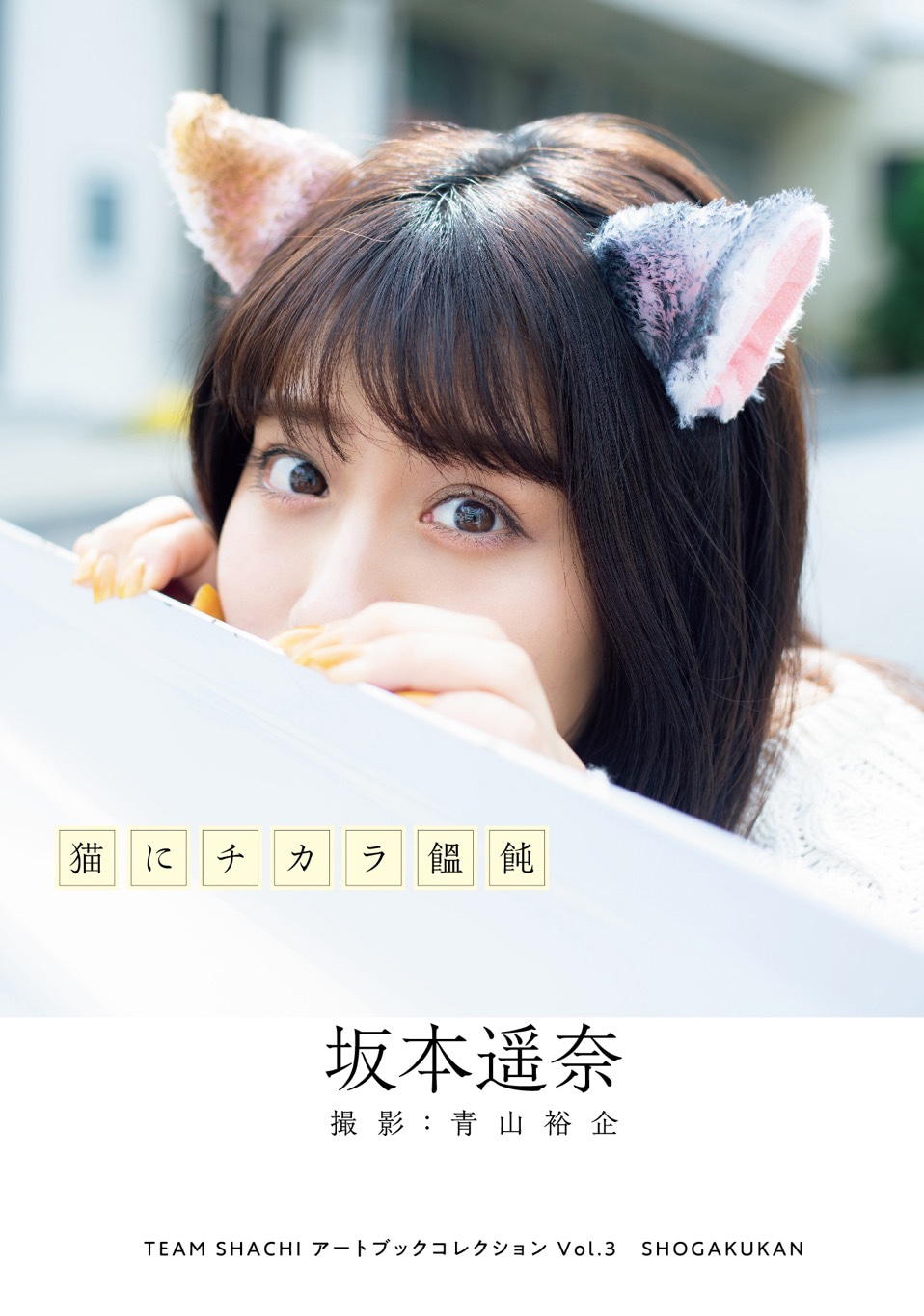 「TEAM SHACHIアートブックコレクション Vol.3 猫にチカラ饂飩 坂本遥奈」表紙画像