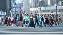 乃木坂46「Wilderness world」ミュージックビデオのサムネイル。
