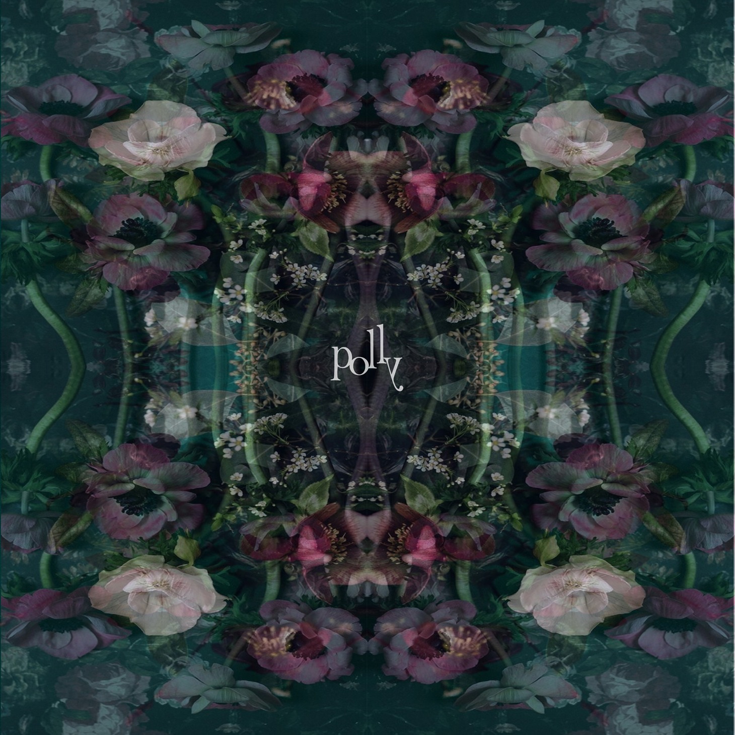 polly「Laugher」配信ジャケット