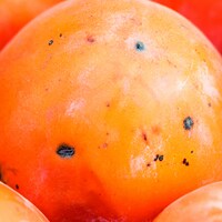 んoon「Orange」配信ジャケット