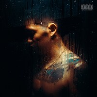 PEAVIS「PORTRA￥AL」ジャケット