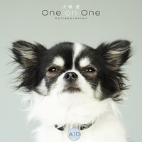 大塚愛「犬塚 愛 One on One Collaboration」ジャケット