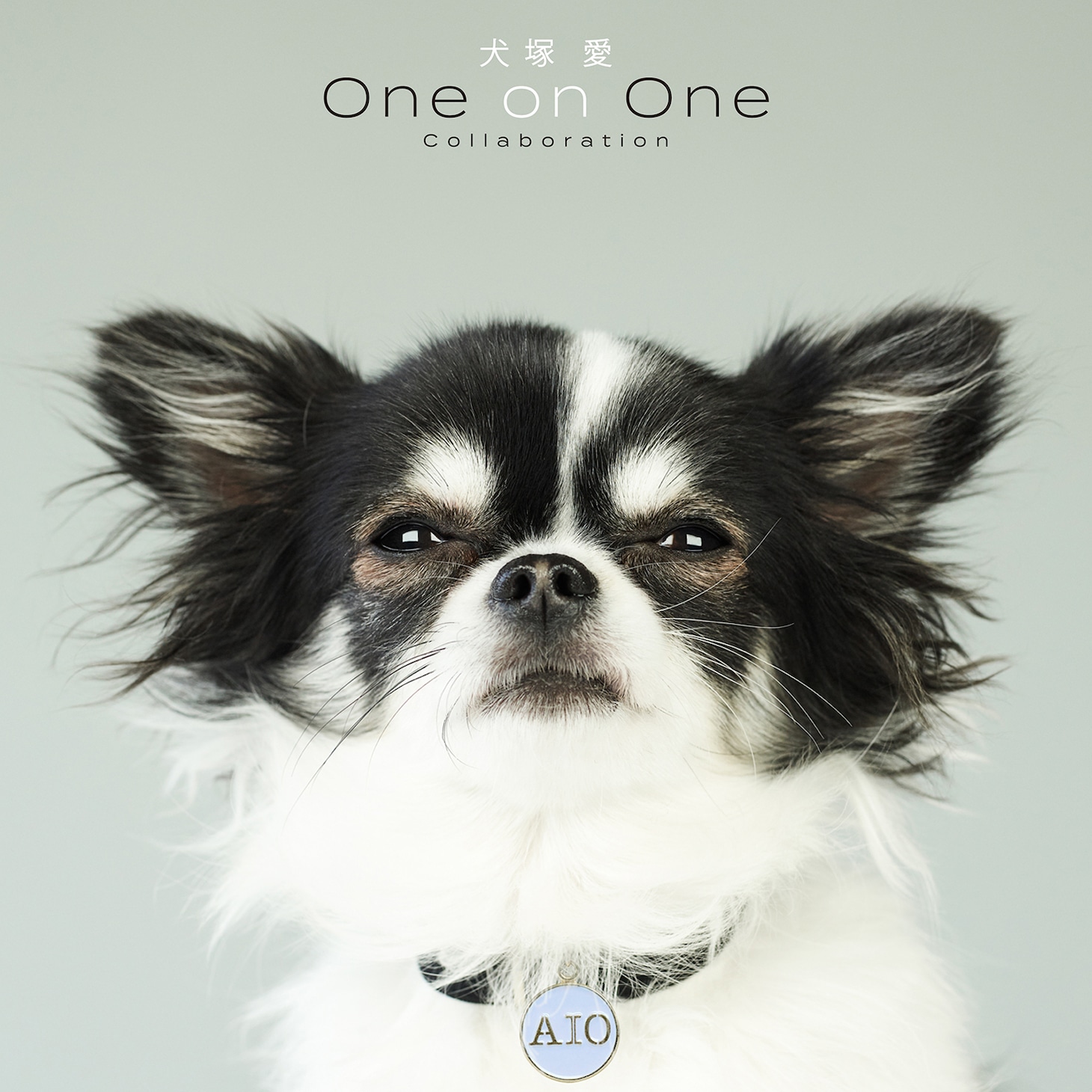 大塚愛「犬塚愛 One on One Collaboration」ジャケット