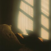 タケトモアツキ「将来有望」配信ジャケット